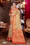 Aashika Vol 2 By Saroj 1001 To 1006 Soft Organza Silk Saree Wholesales In Delhi
